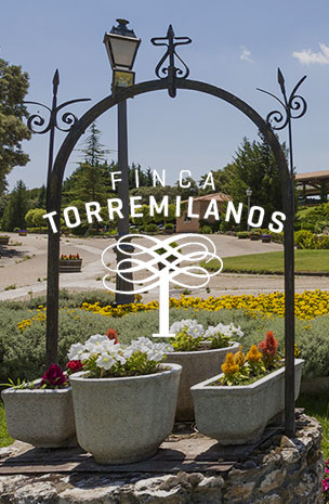 antigal-torremilanos