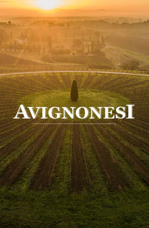 avignonesi-slider